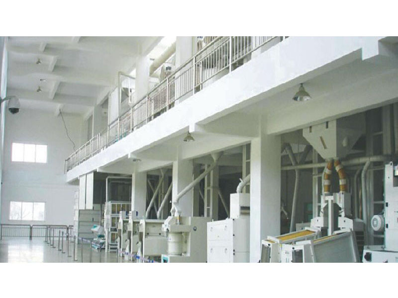 楼式日产200吨大米生产线