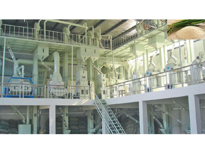 楼式日常100吨大米生产线